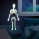 human body phosphorescent