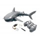 Requin rc