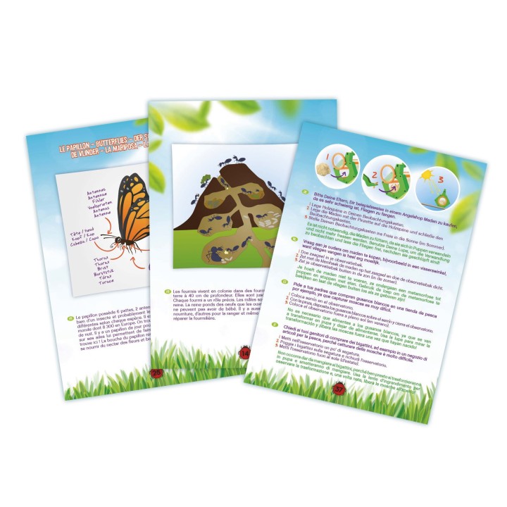 Explorateur d'insectes
