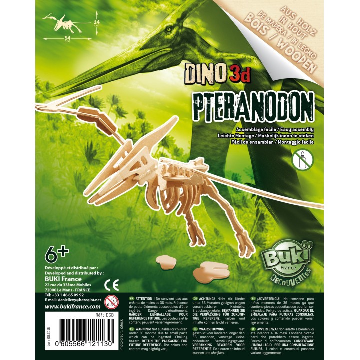 Dino Wooden