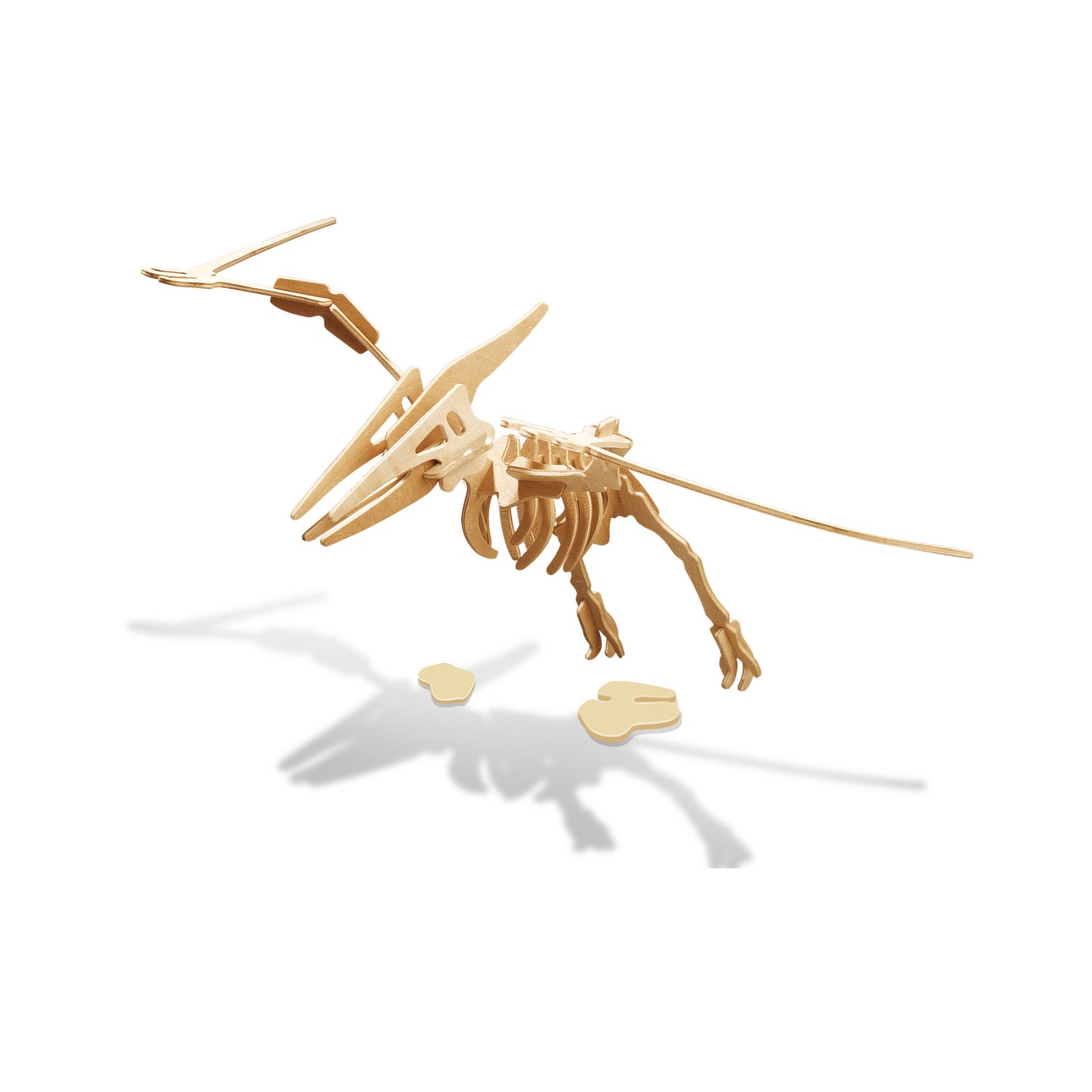 Dino Wooden