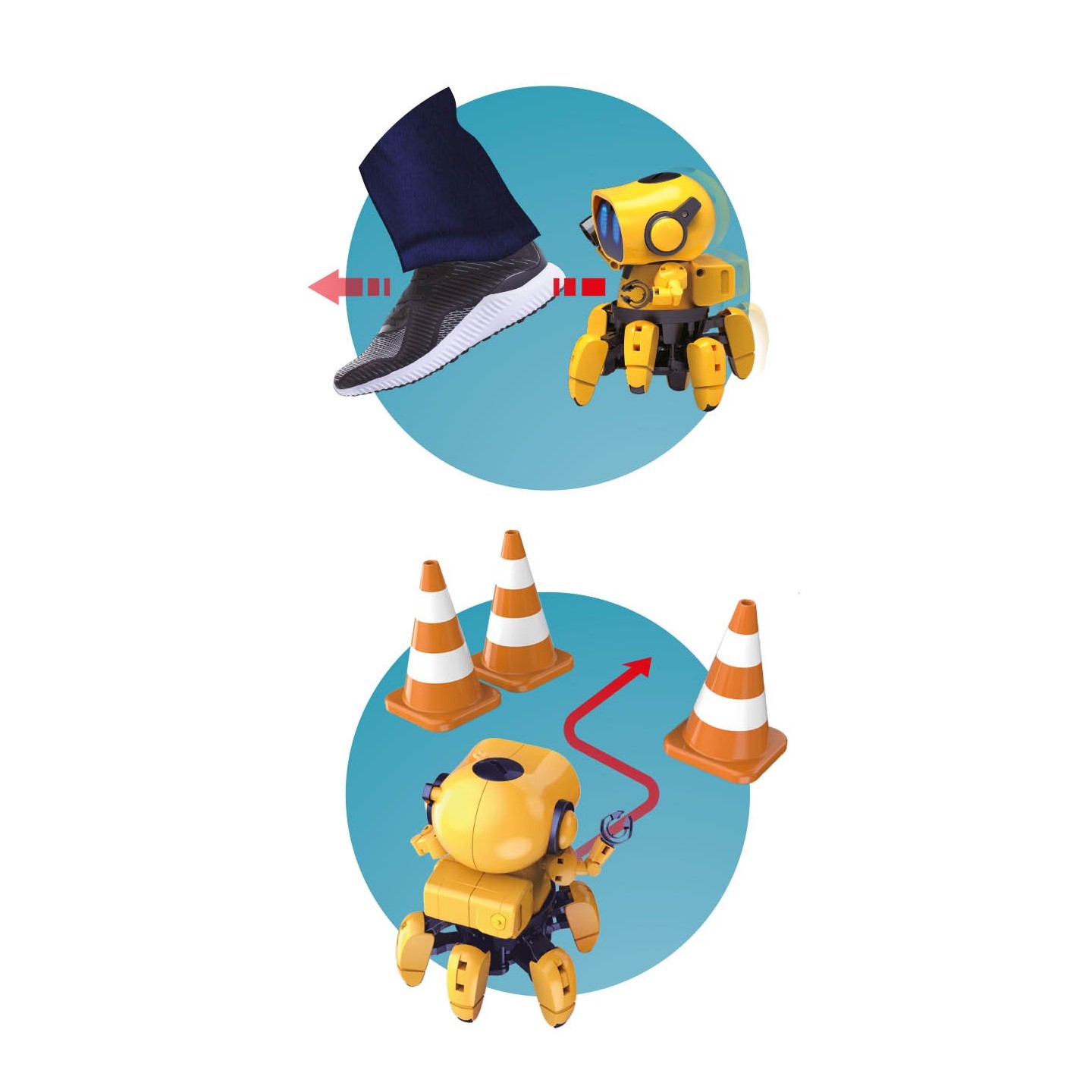Tibo the Robot