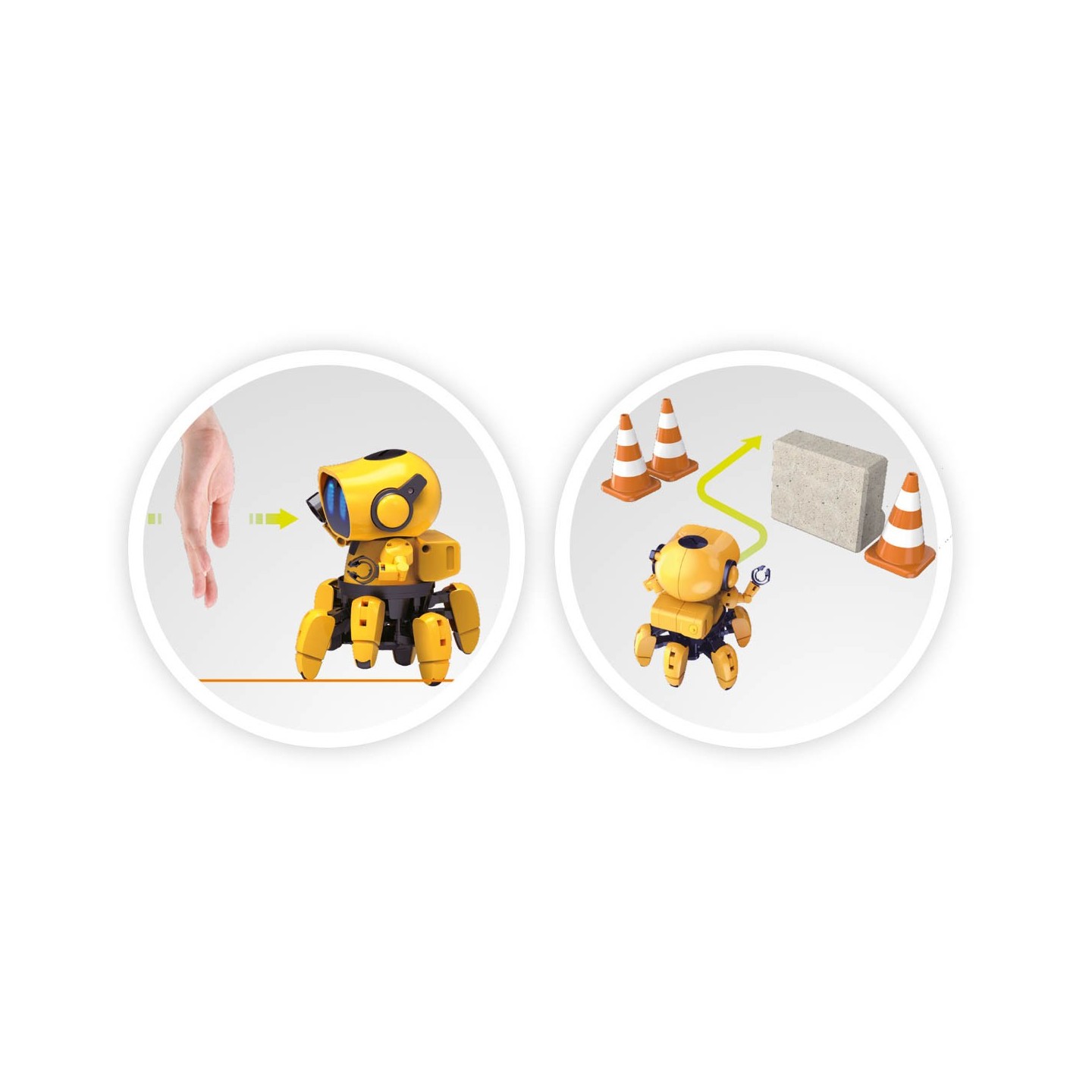 Robot Tibo