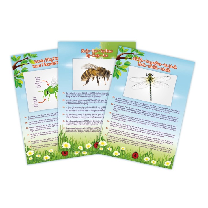 Aspirateur d'Insectes