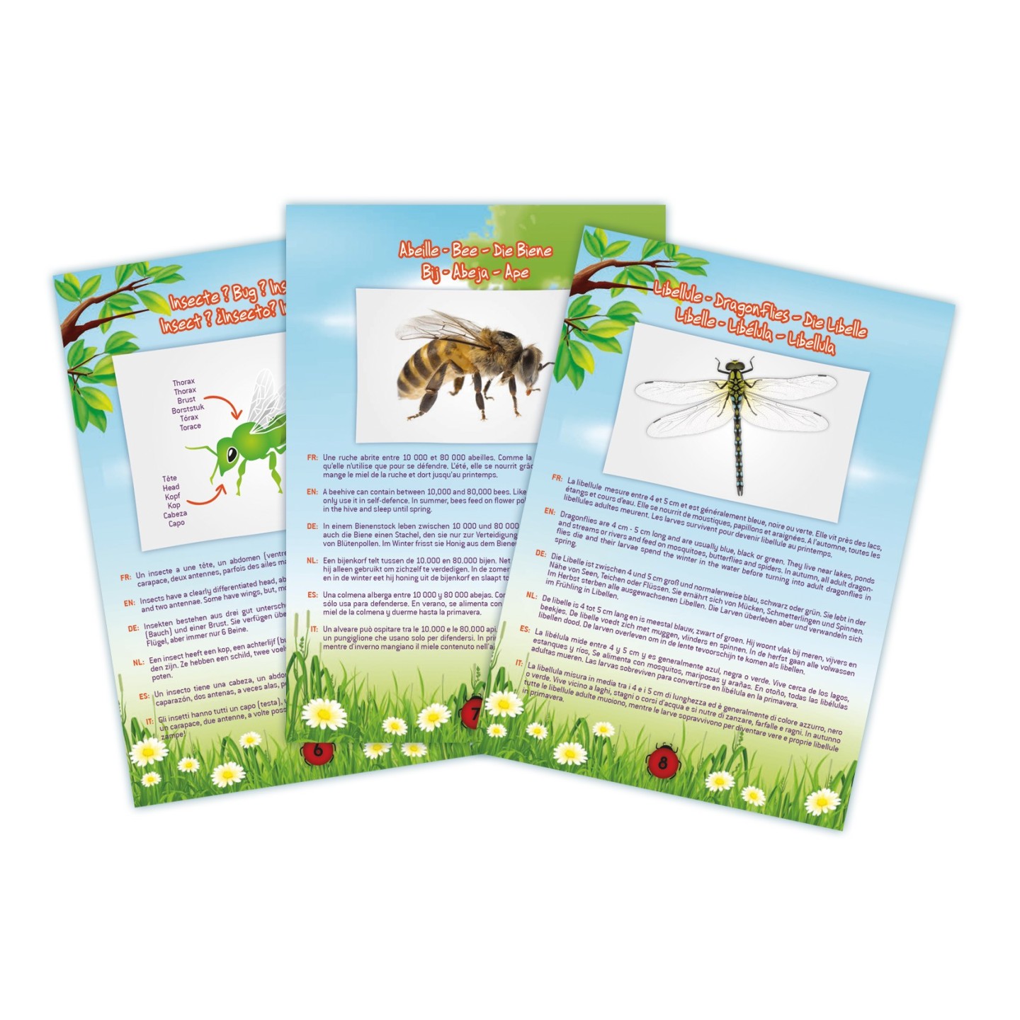 Booklet extract