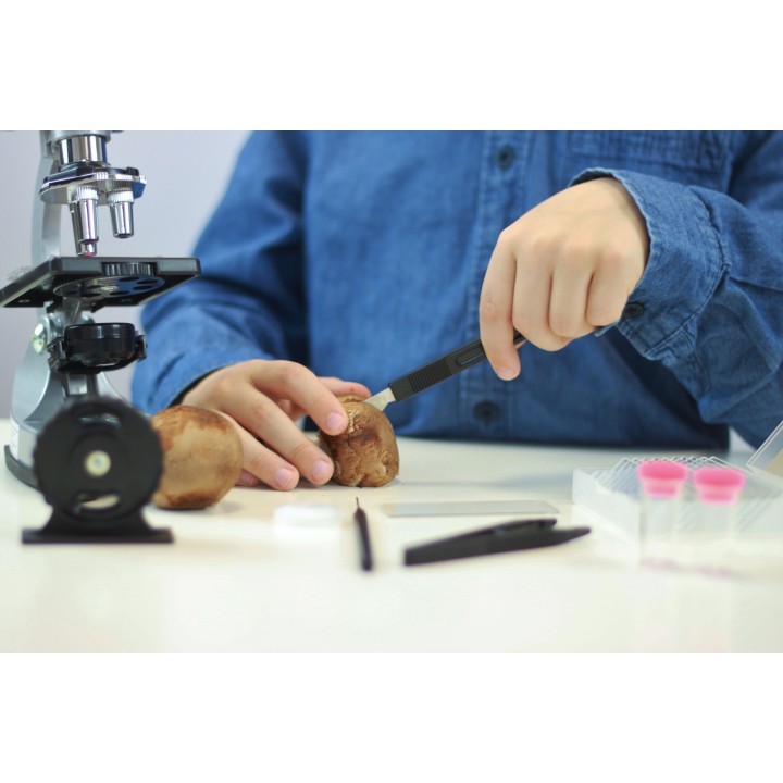 Microscope 30 Expériences