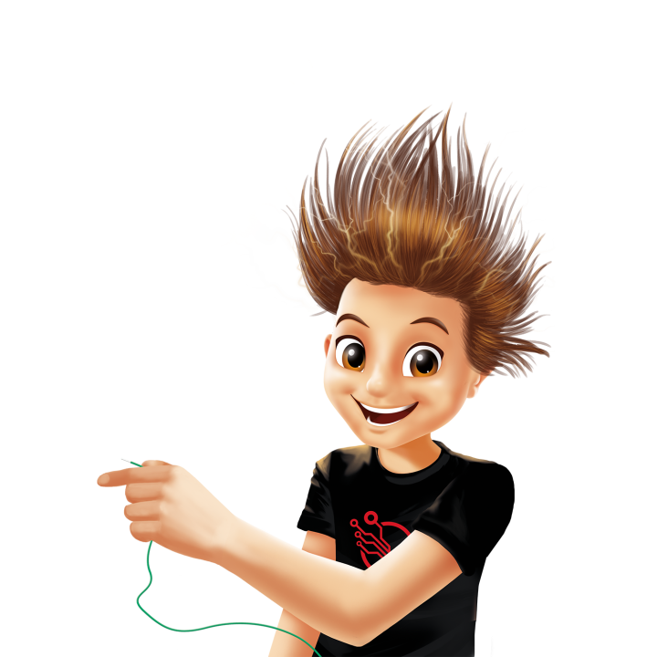 Electronic expert