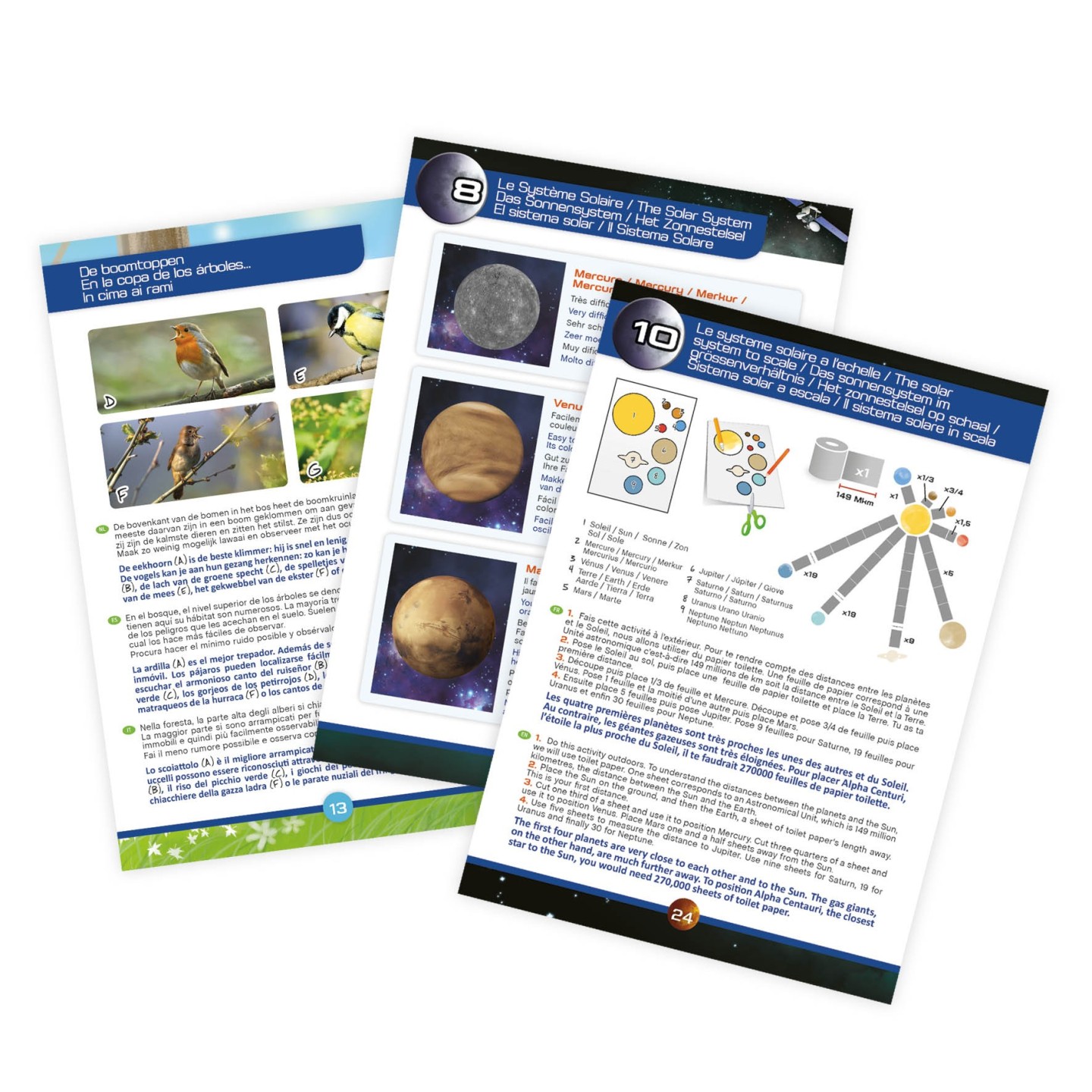 Booklet extract
