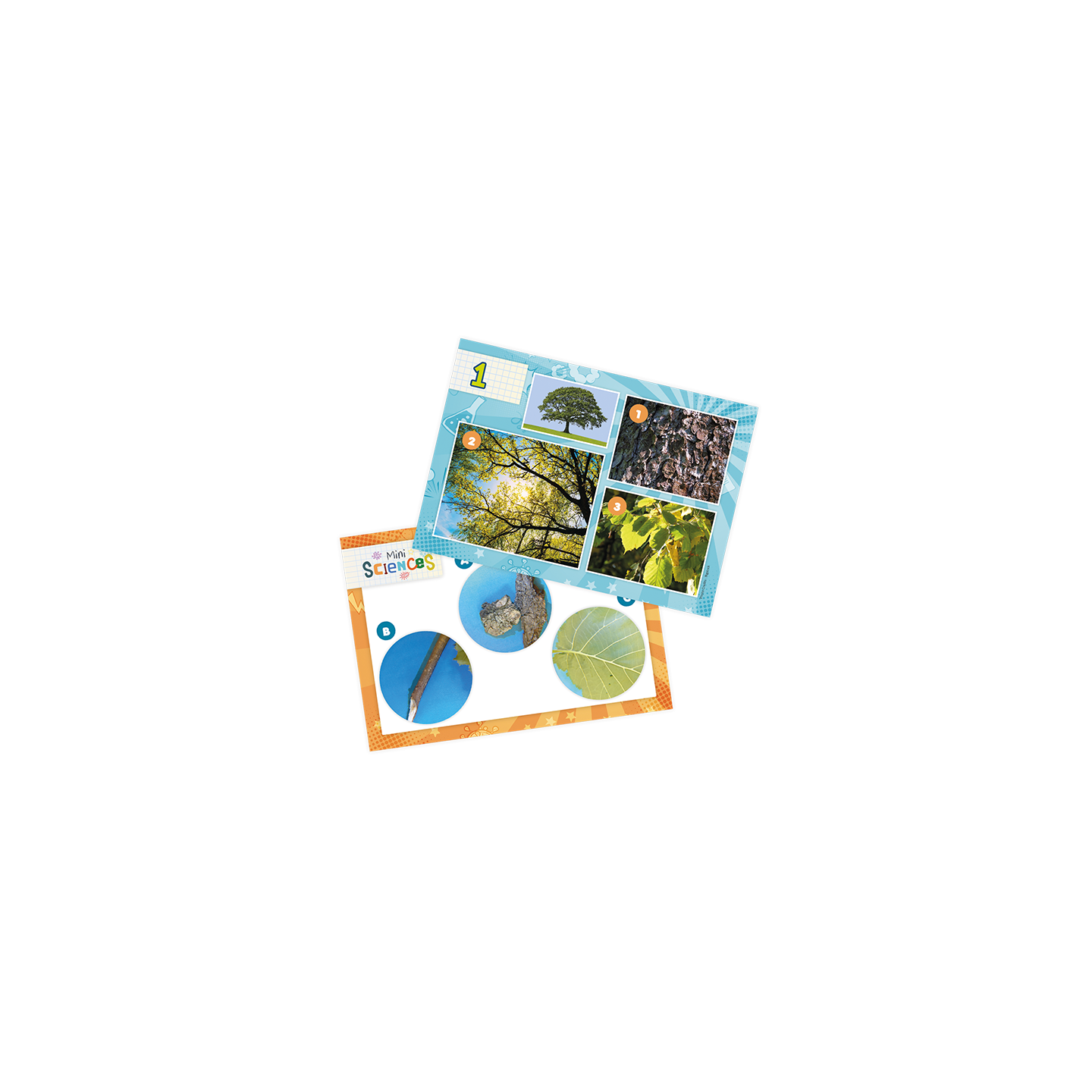 Mini Sciences Microscope