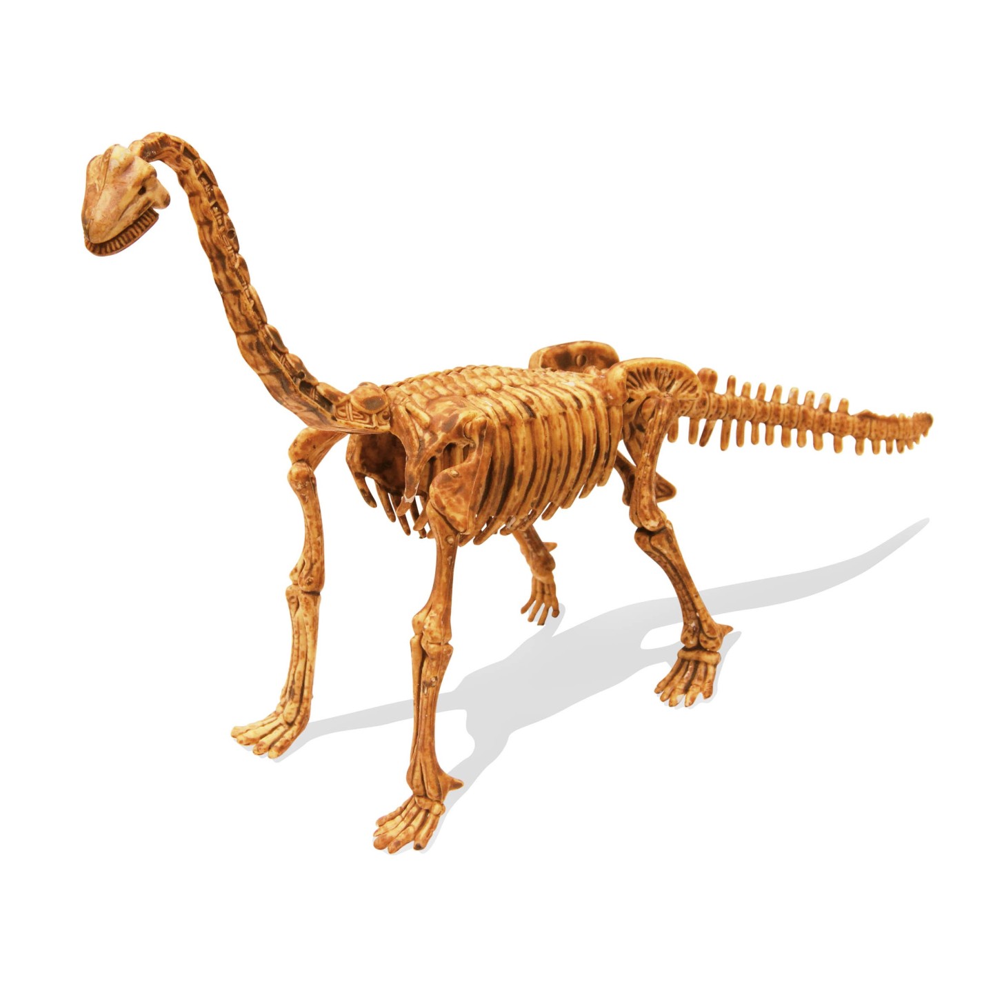 Brachiosaure