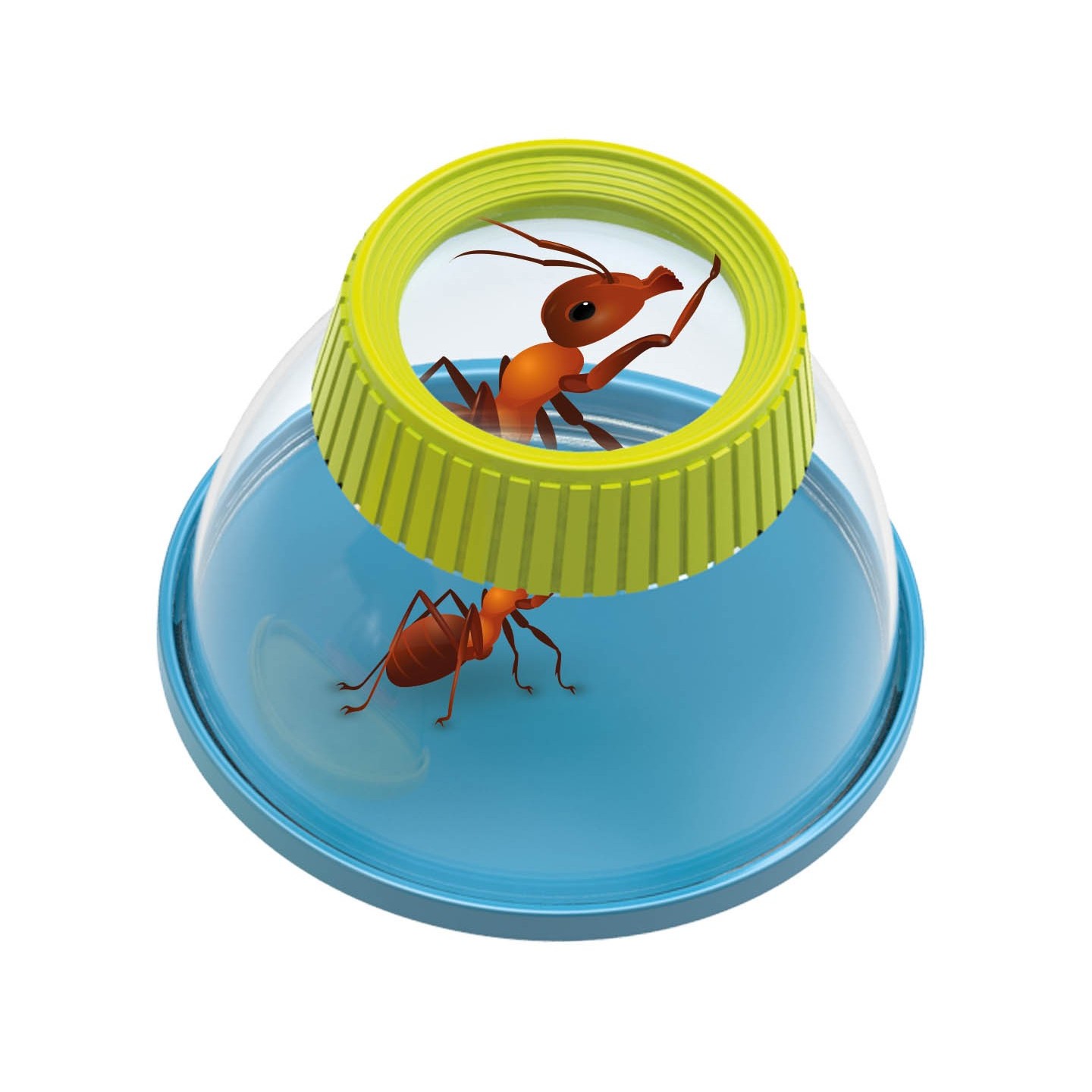 Insectoloupe