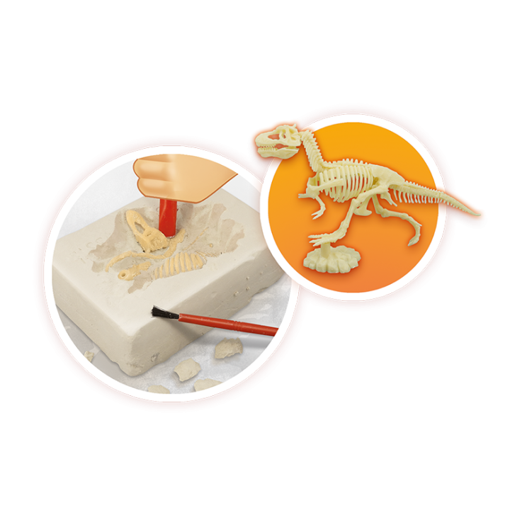 Volcans et Dinosaures