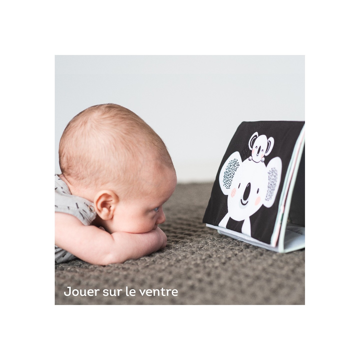 Livre Chevalet