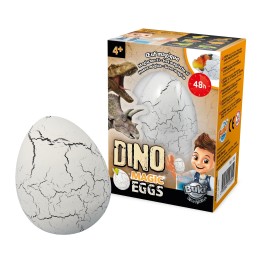 Magic Egg