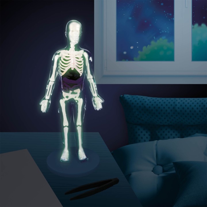 human body phosphorescent