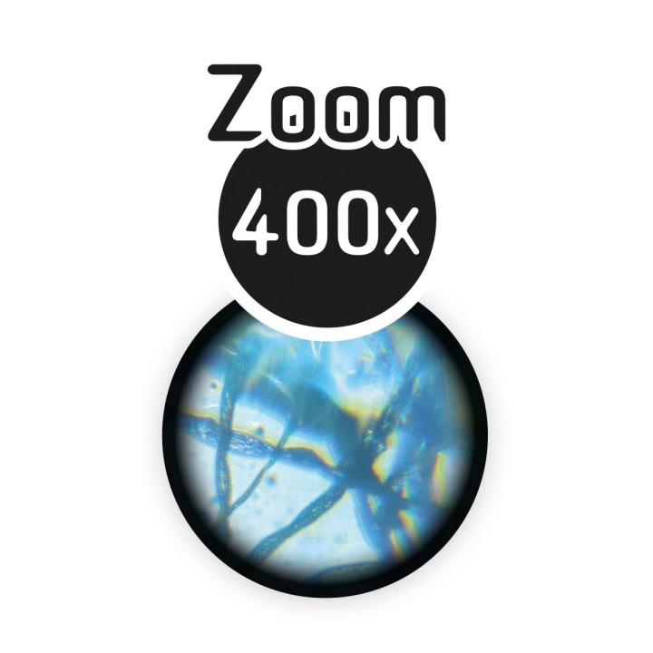 Zoom