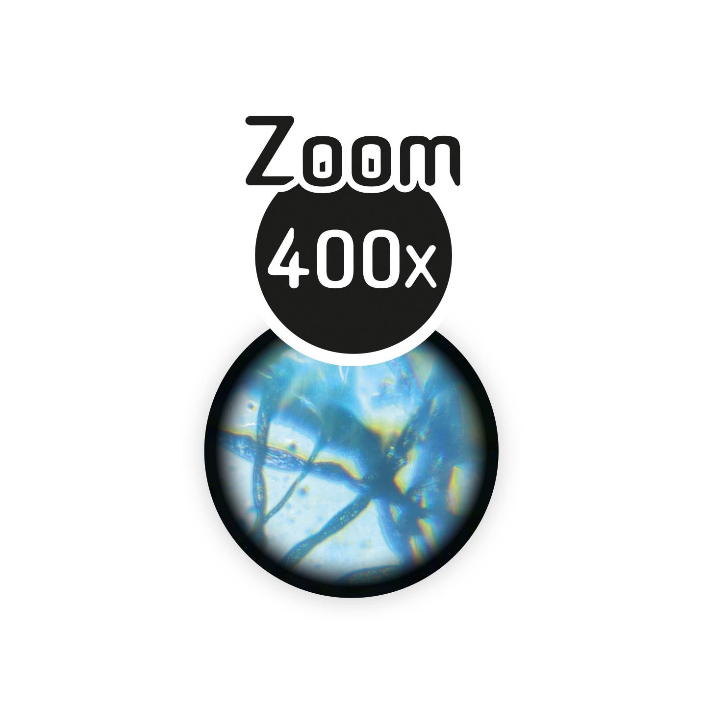 Zoom