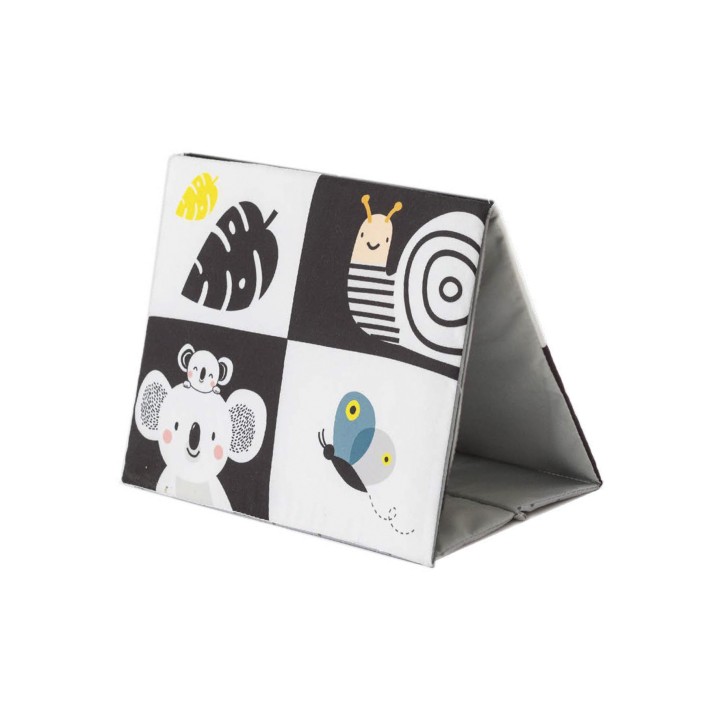 Livre miroir