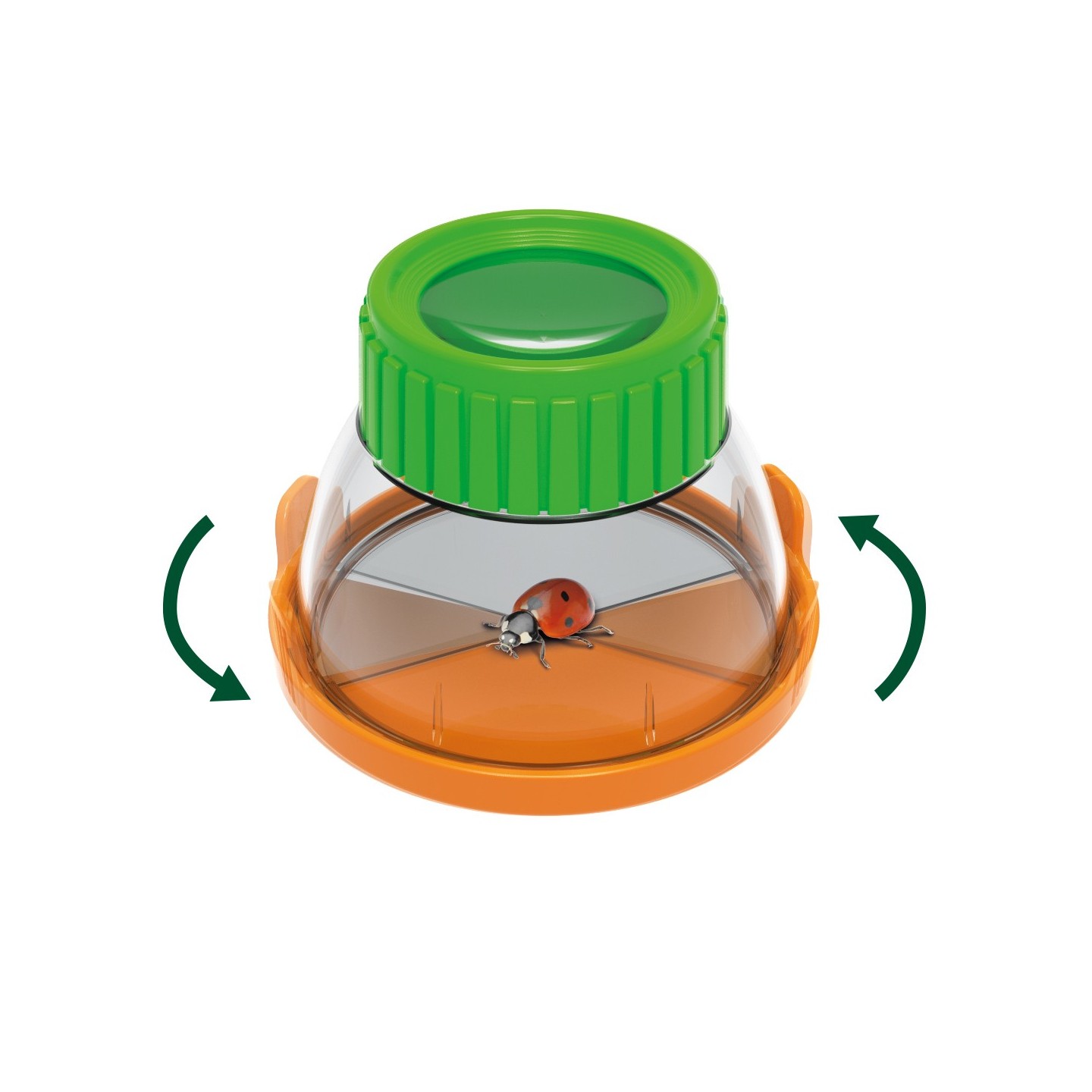 Terrarium