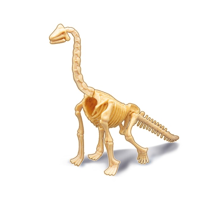 Dino Dig Brachiosaurus
