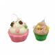Professional Studio Cupcake candles