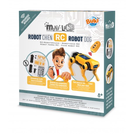 Mini lab - RC Robot Dog