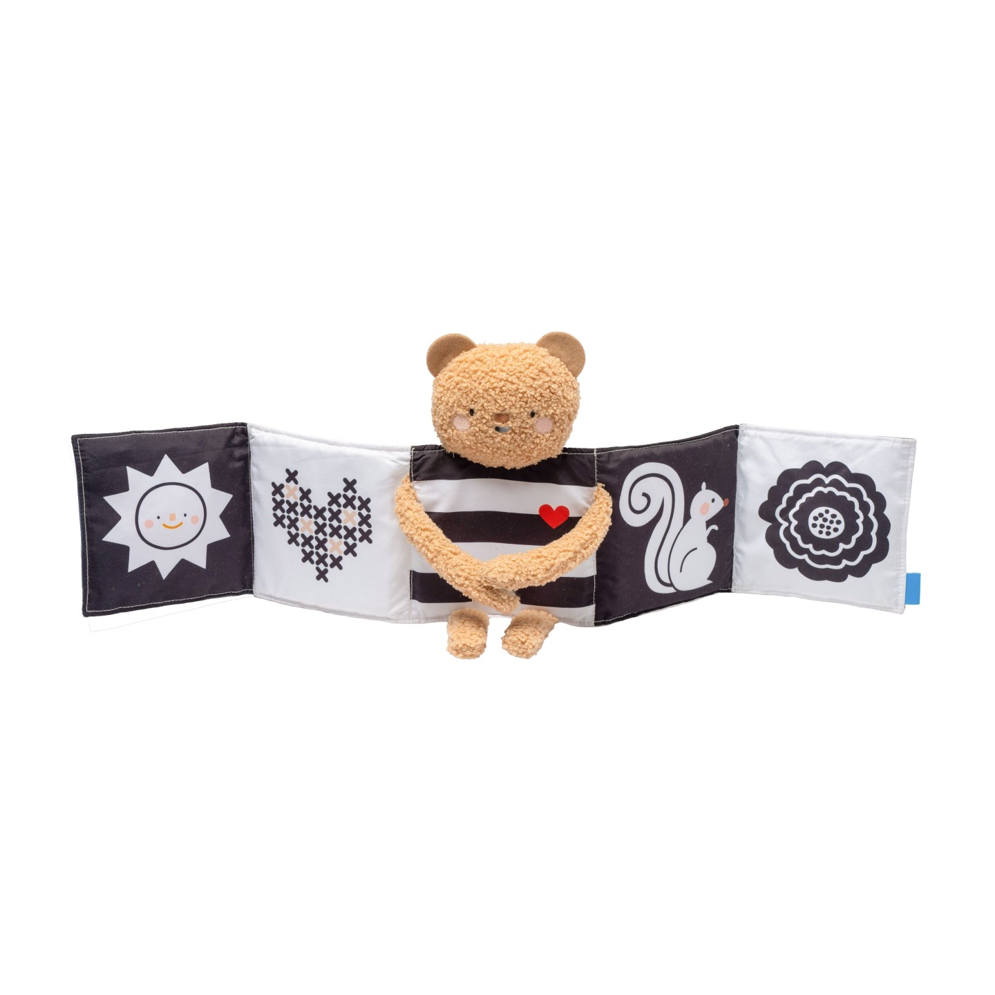 Livre ourson câlin