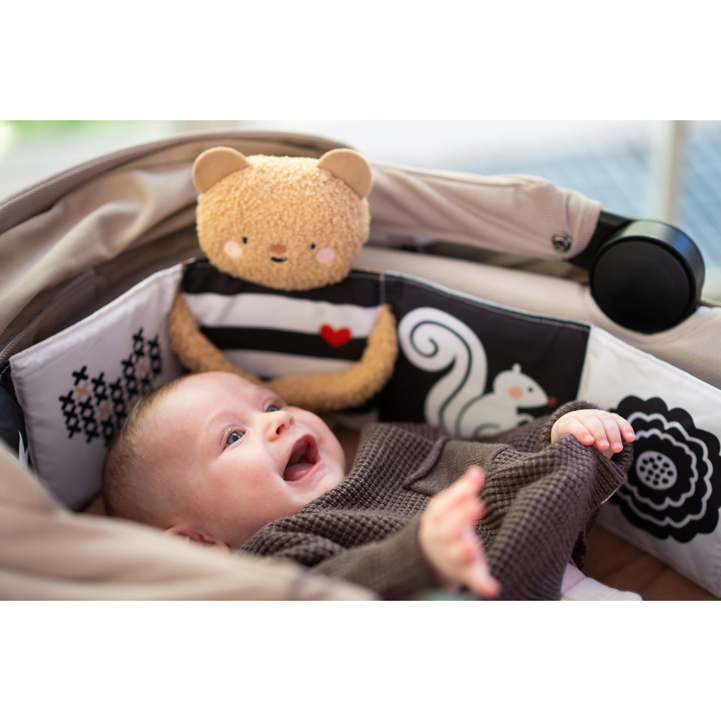 Livre ourson câlin