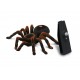 Remote-controlled tarantula