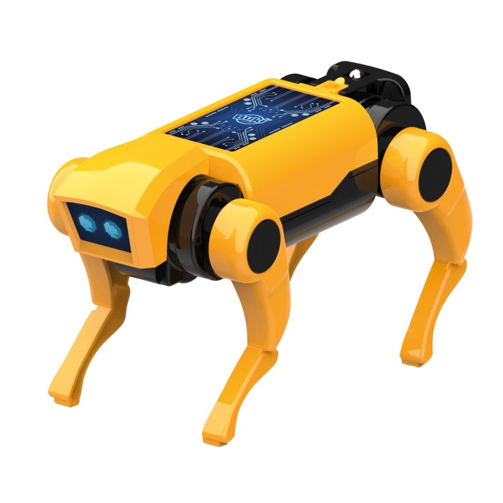 Mini lab - RC Robot Dog