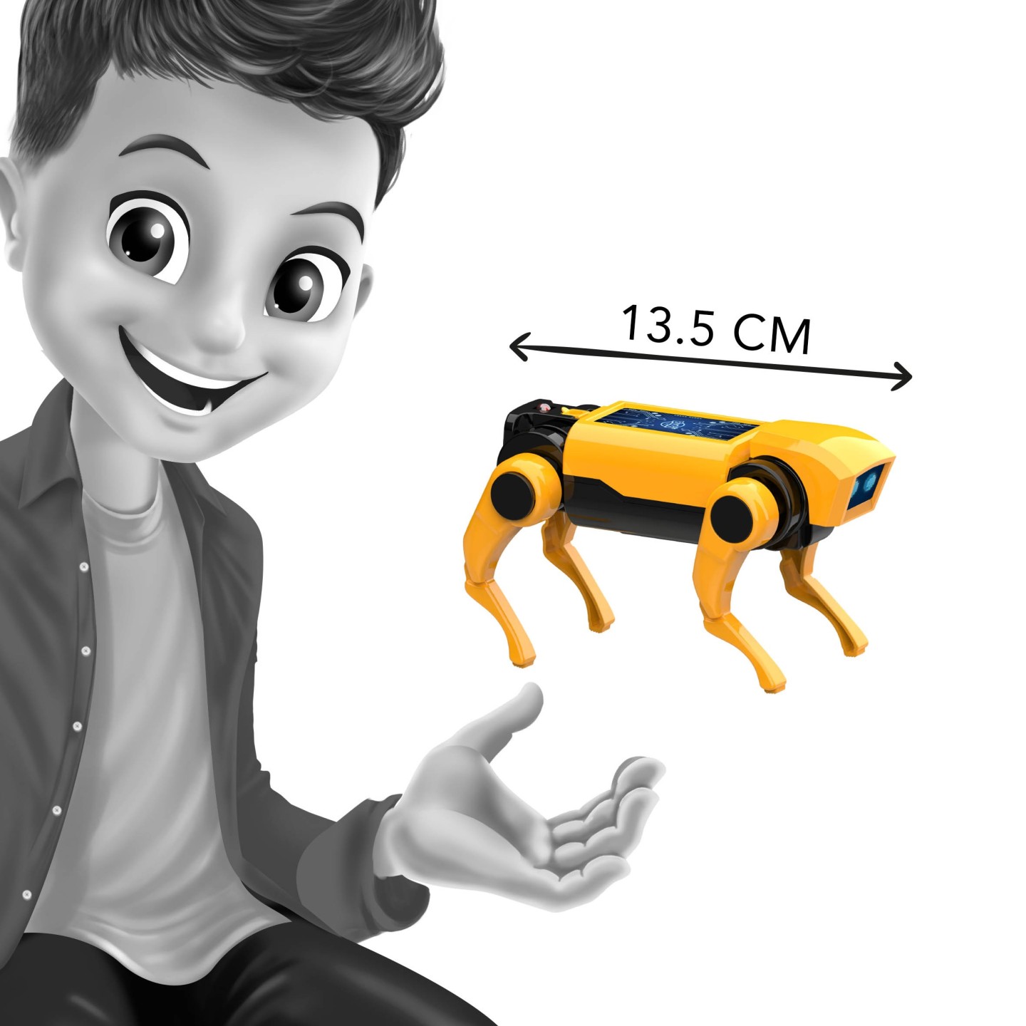 Mini lab - RC Robot Dog