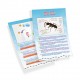 Booklet extract