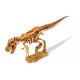 DinoKit - Tyrannosaure