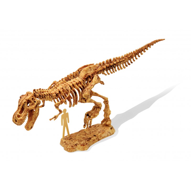 Figurine - Dinosaure - T-Rex – Yoti Boutique